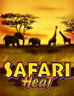 เจ้าของเว็บพนัน เปิดเผยวิธีเล่นเกมสล็อตสุดเจ๋ง